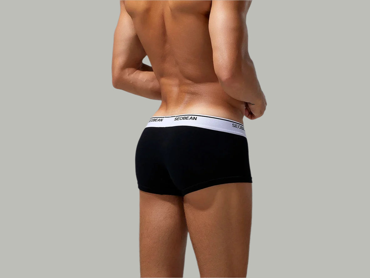 Gay Boxer Briefs | SEOBEAN Solid Cotton Boxer Briefs