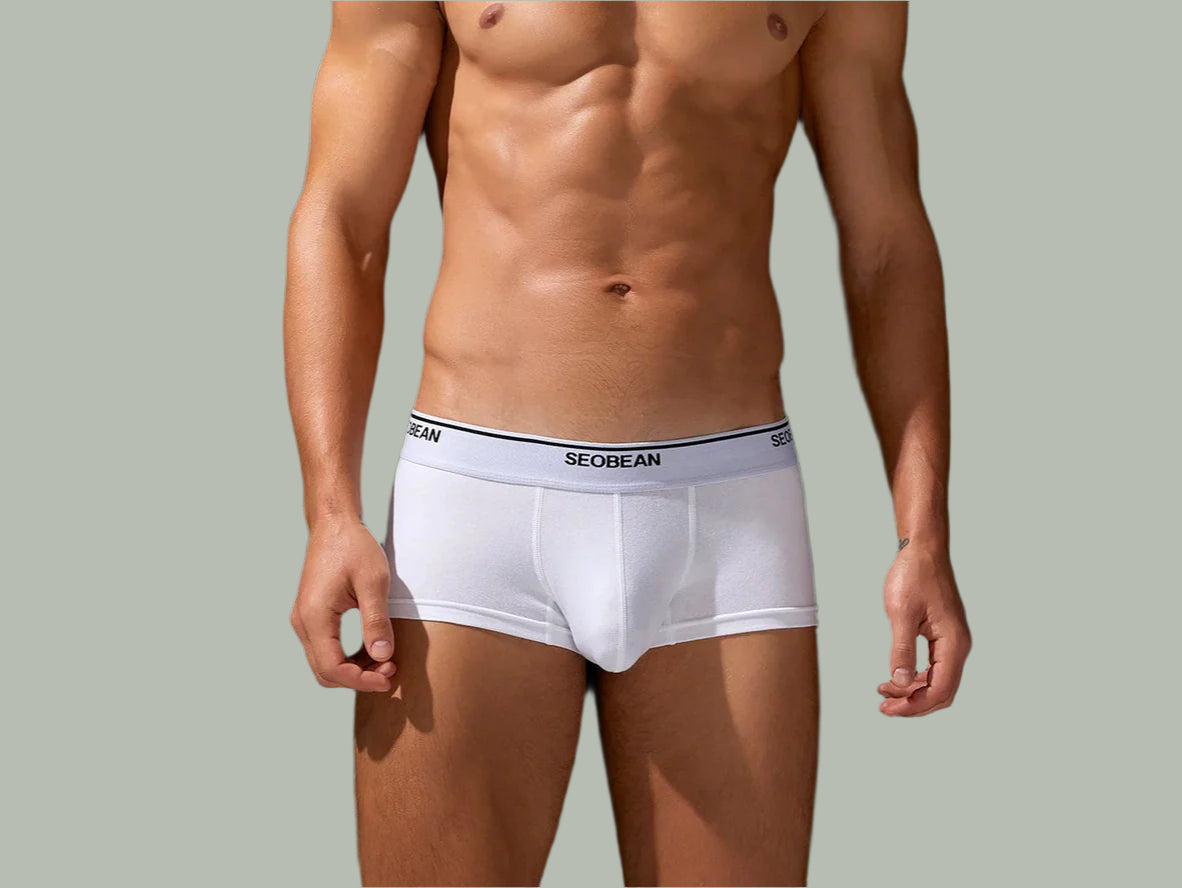Gay Boxer Briefs | SEOBEAN Solid Cotton Boxer Briefs