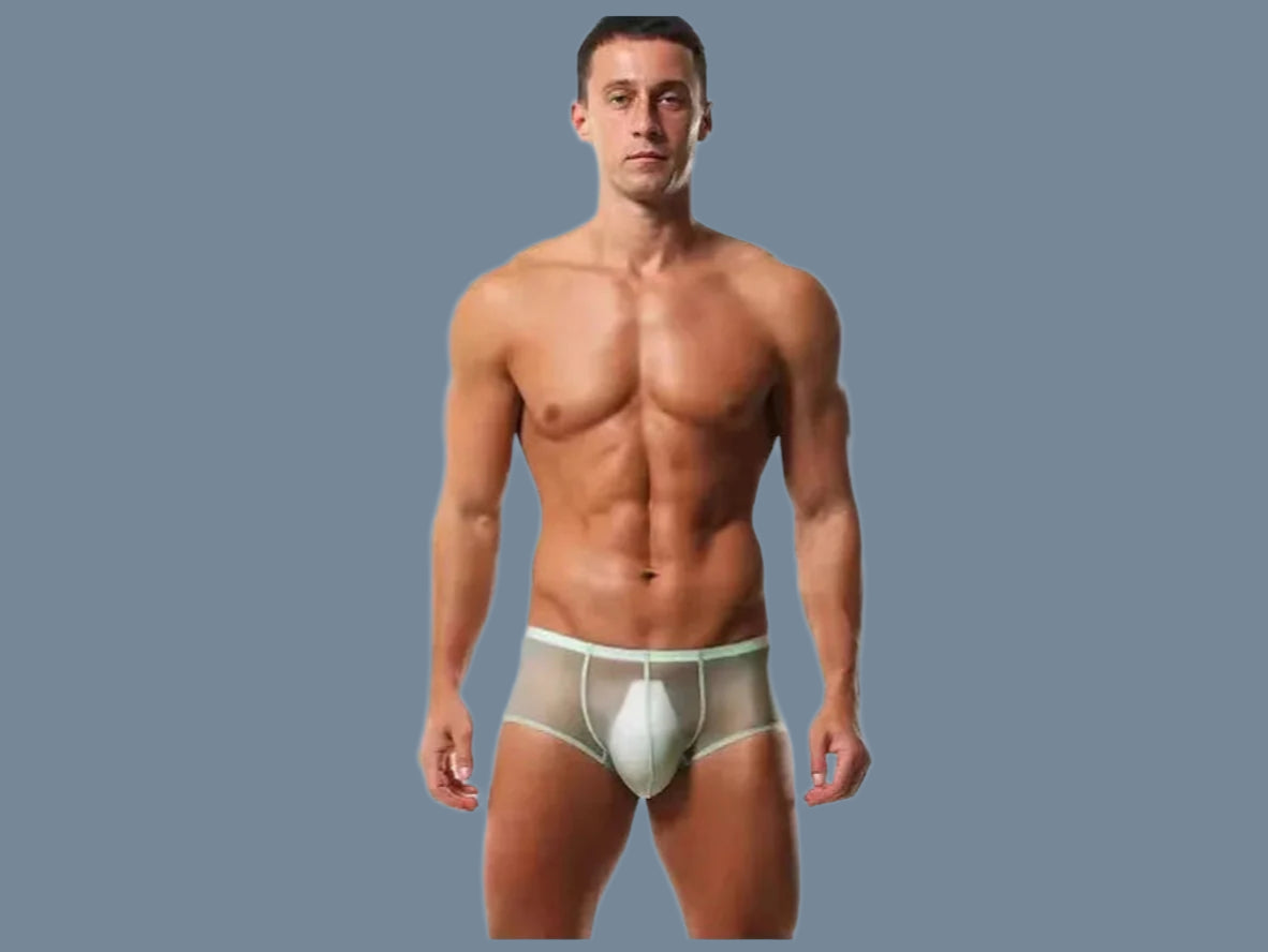 Gay Boxer Briefs | Seamless Ultra Transparent Boxer Briefs