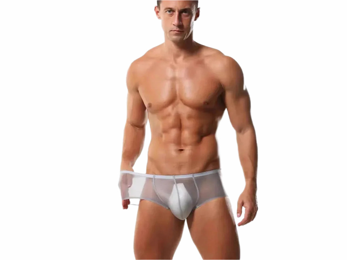 Gay Boxer Briefs | Seamless Ultra Transparent Boxer Briefs