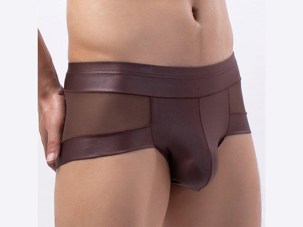 Gay Boxer Briefs | Sexy Mesh See-Through Boxers