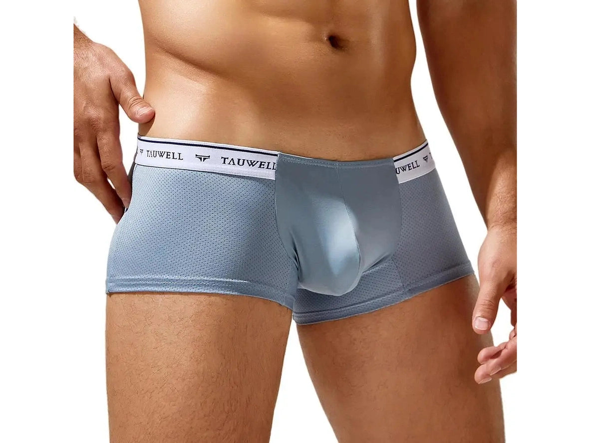 Gay Boxer Briefs | TAUWELL Mesh Boxer Briefs
