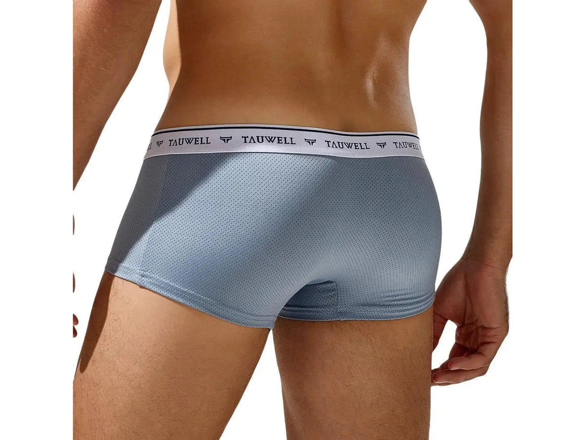 Gay Boxer Briefs | TAUWELL Mesh Boxer Briefs