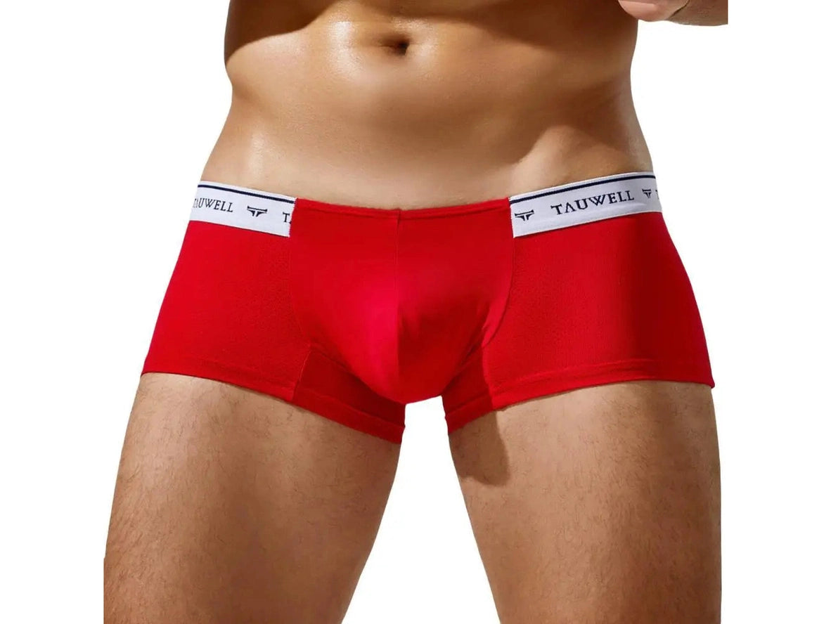 Gay Boxer Briefs | TAUWELL Mesh Boxer Briefs