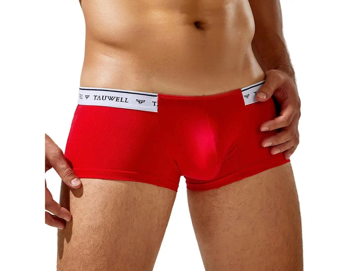 Gay Boxer Briefs | TAUWELL Mesh Boxer Briefs