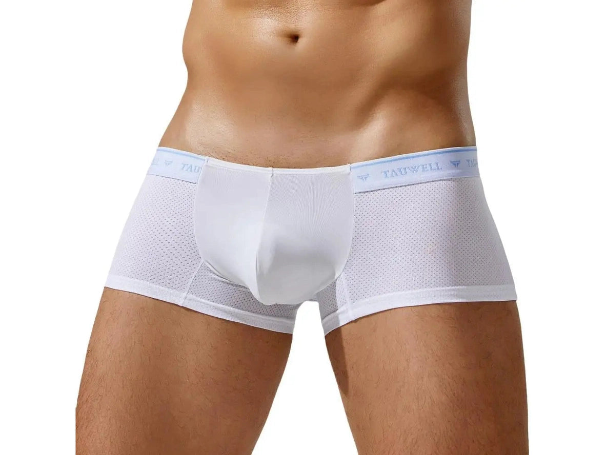 Gay Boxer Briefs | TAUWELL Mesh Boxer Briefs