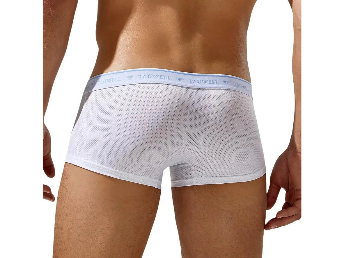 Gay Boxer Briefs | TAUWELL Mesh Boxer Briefs
