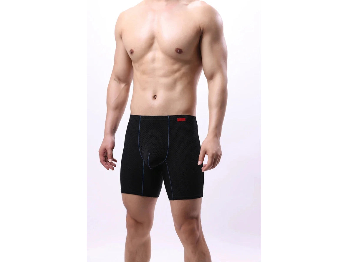 Gay Boxer Briefs | Transparent Mesh Boxers Briefs