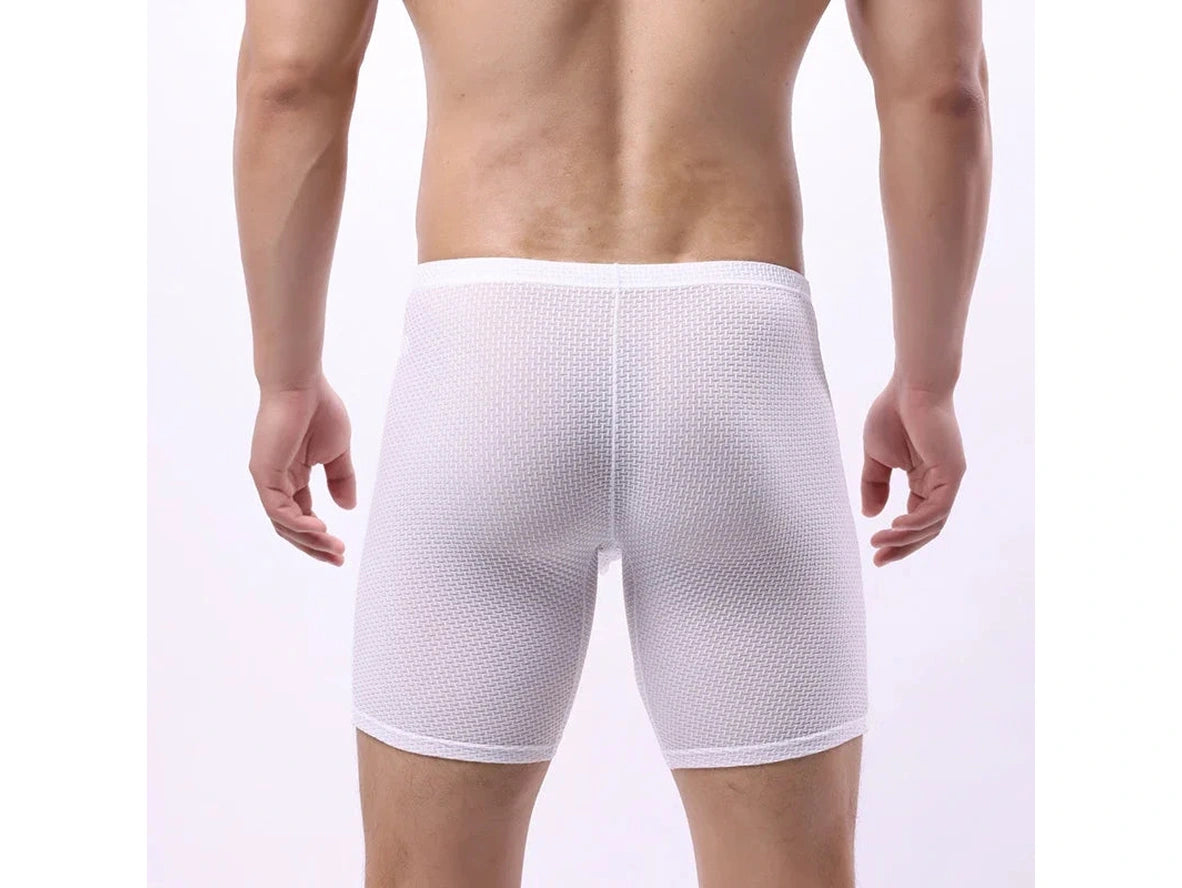Gay Boxer Briefs | Transparent Mesh Boxers Briefs