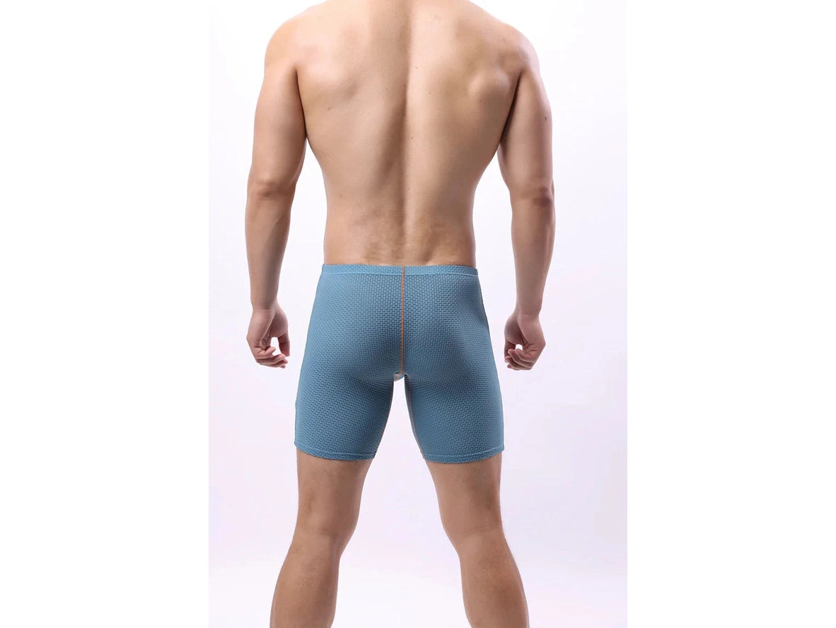 Gay Boxer Briefs | Transparent Mesh Boxers Briefs