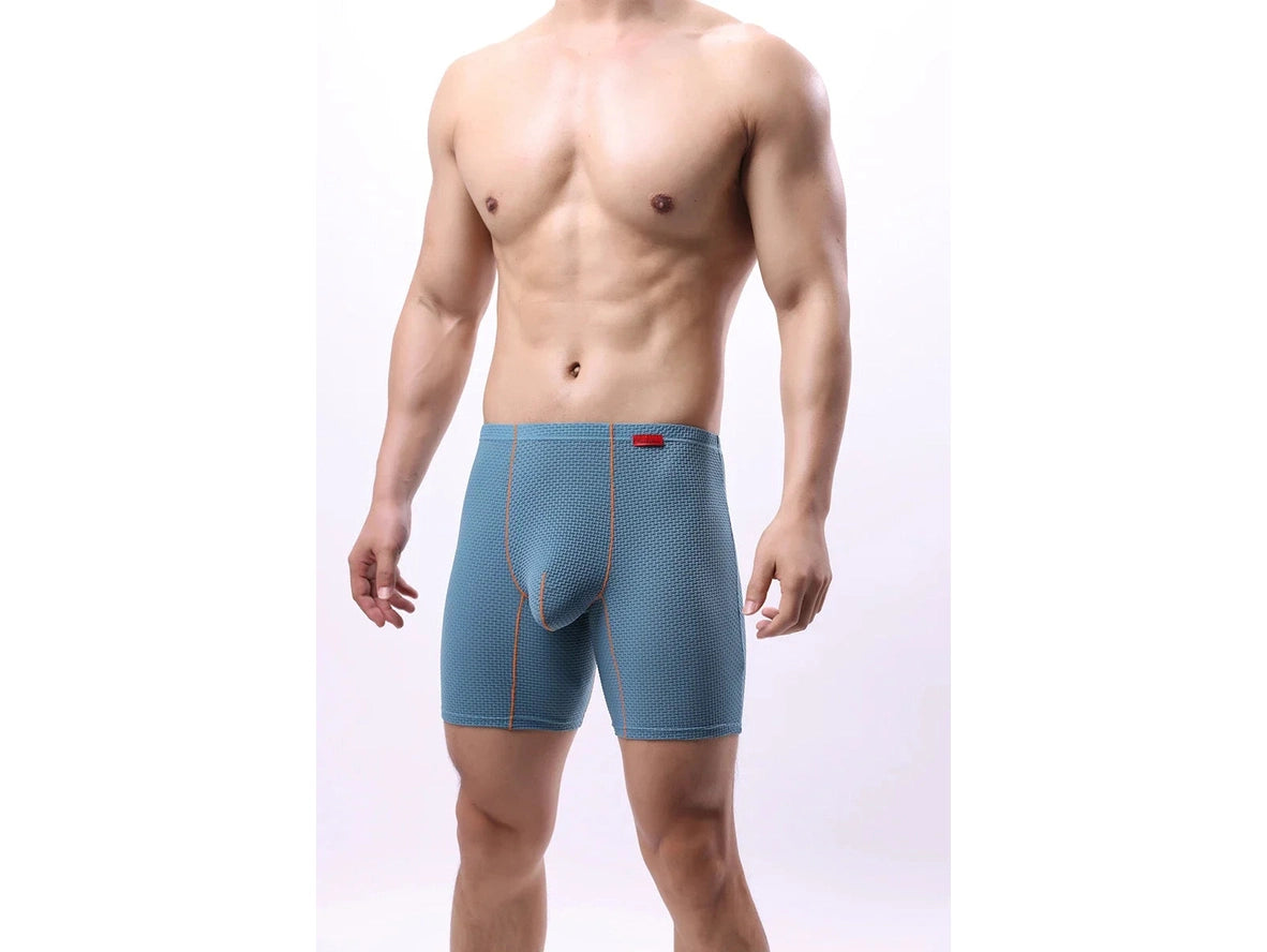 Gay Boxer Briefs | Transparent Mesh Boxers Briefs