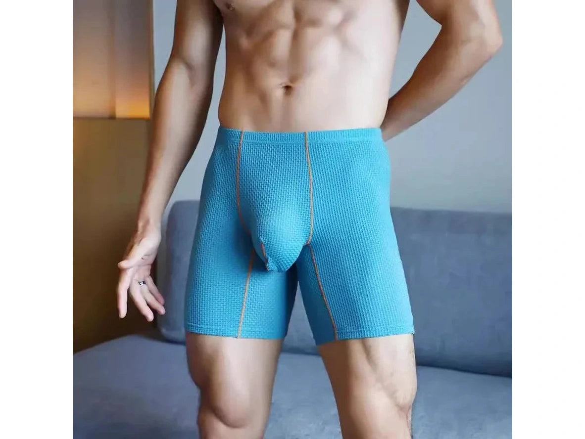 Gay Boxer Briefs | Transparent Mesh Boxers Briefs