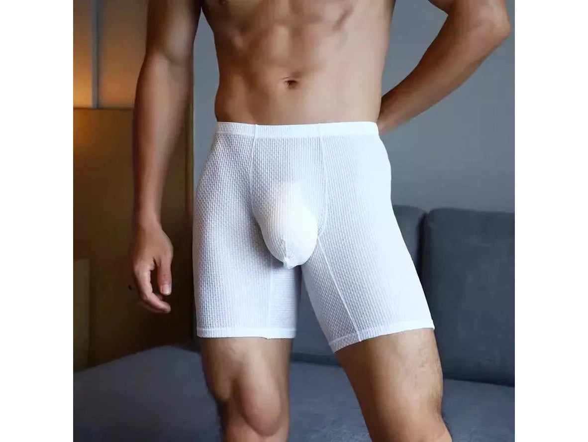 Gay Boxer Briefs | Transparent Mesh Boxers Briefs