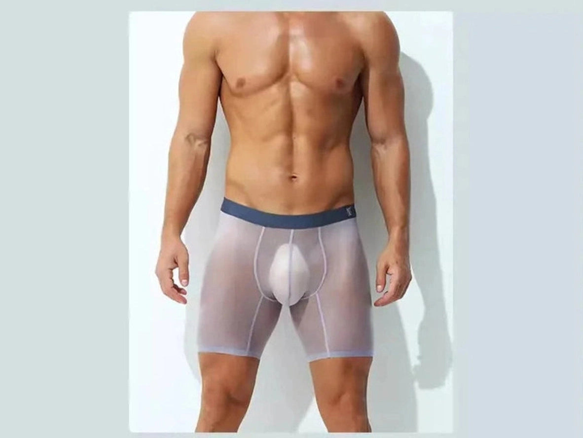 Gay Boxer Briefs | Ultra-Thin Fully Transparent Boxer Briefs