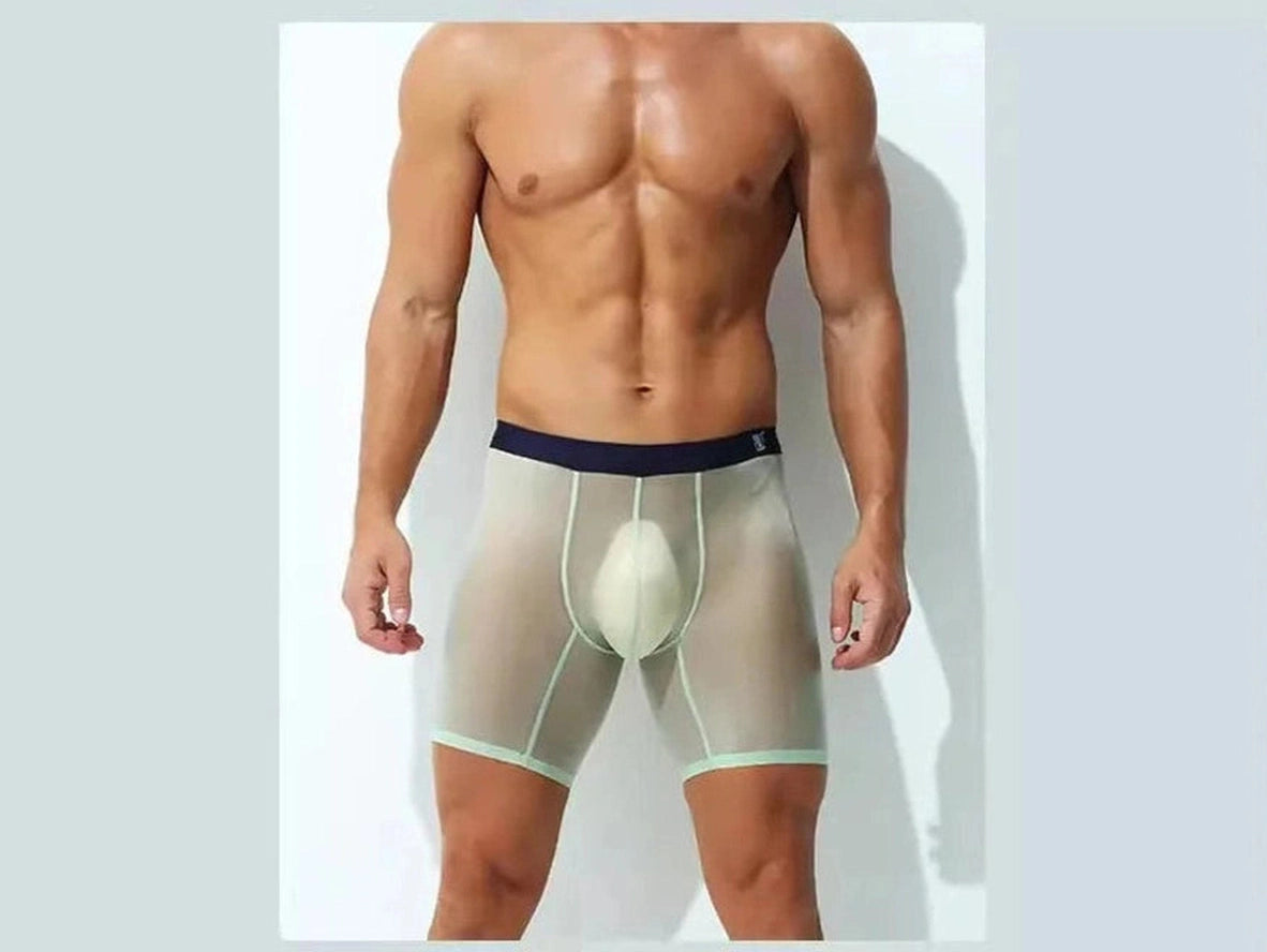 Gay Boxer Briefs | Ultra-Thin Fully Transparent Boxer Briefs