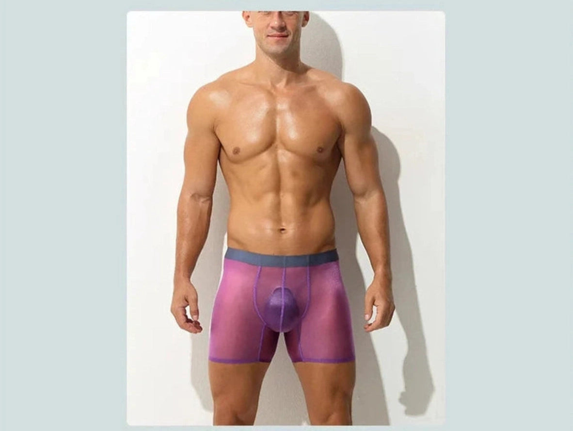 Gay Boxer Briefs | Ultra-Thin Fully Transparent Boxer Briefs