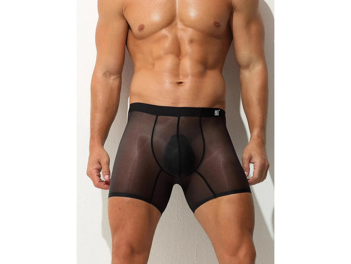 Gay Boxer Briefs | Ultra-Thin Fully Transparent Boxer Briefs