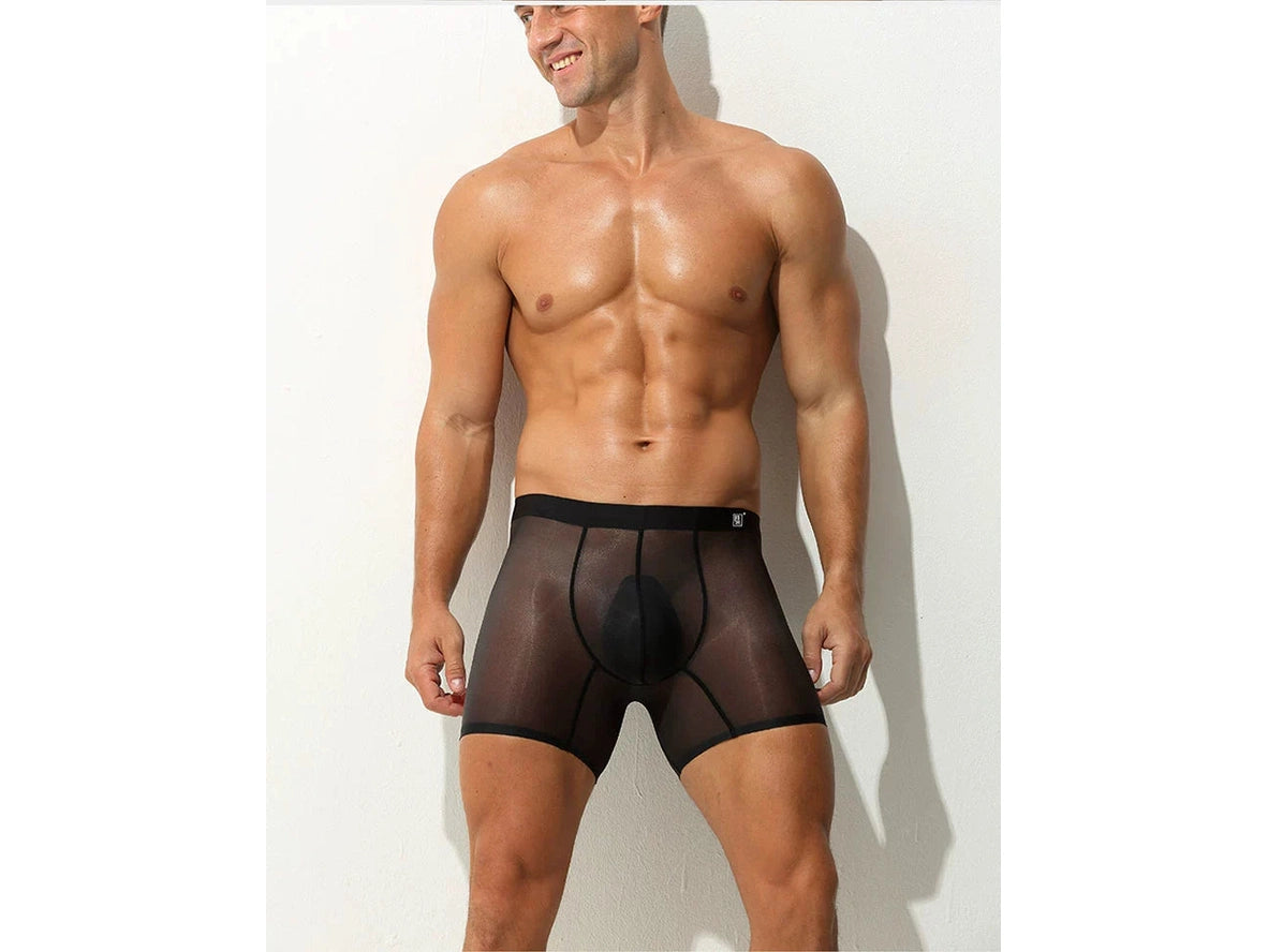 Gay Boxer Briefs | Ultra-Thin Fully Transparent Boxer Briefs