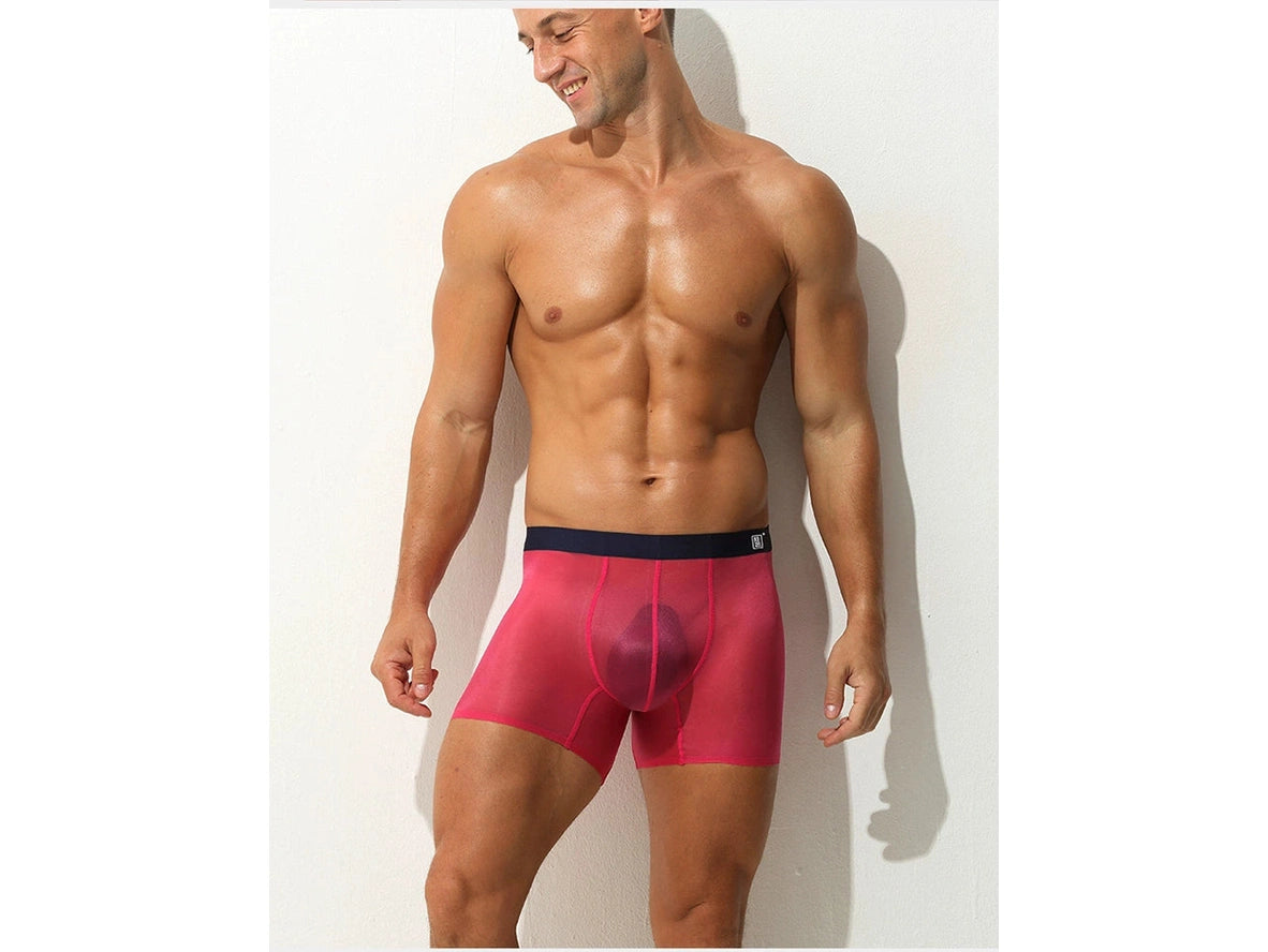 Gay Boxer Briefs | Ultra-Thin Fully Transparent Boxer Briefs