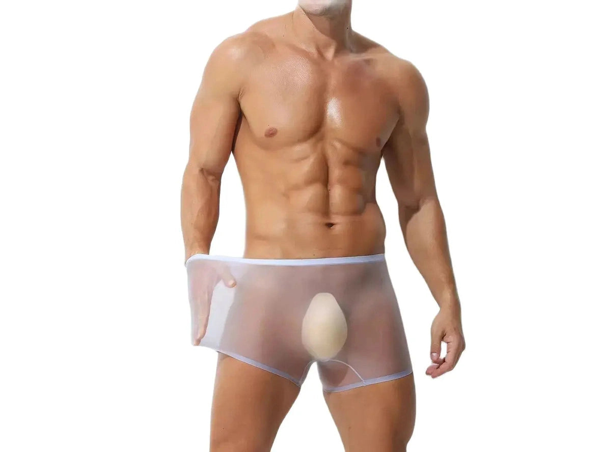 Gay Boxer Briefs | Ultra-Thin Transparent Boxer Briefs