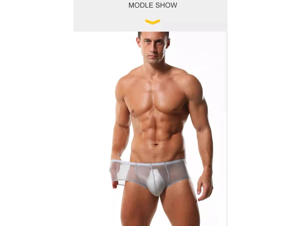 Gay Boxer Briefs | Ultra-thin Seamless Transparent Boxer Briefs