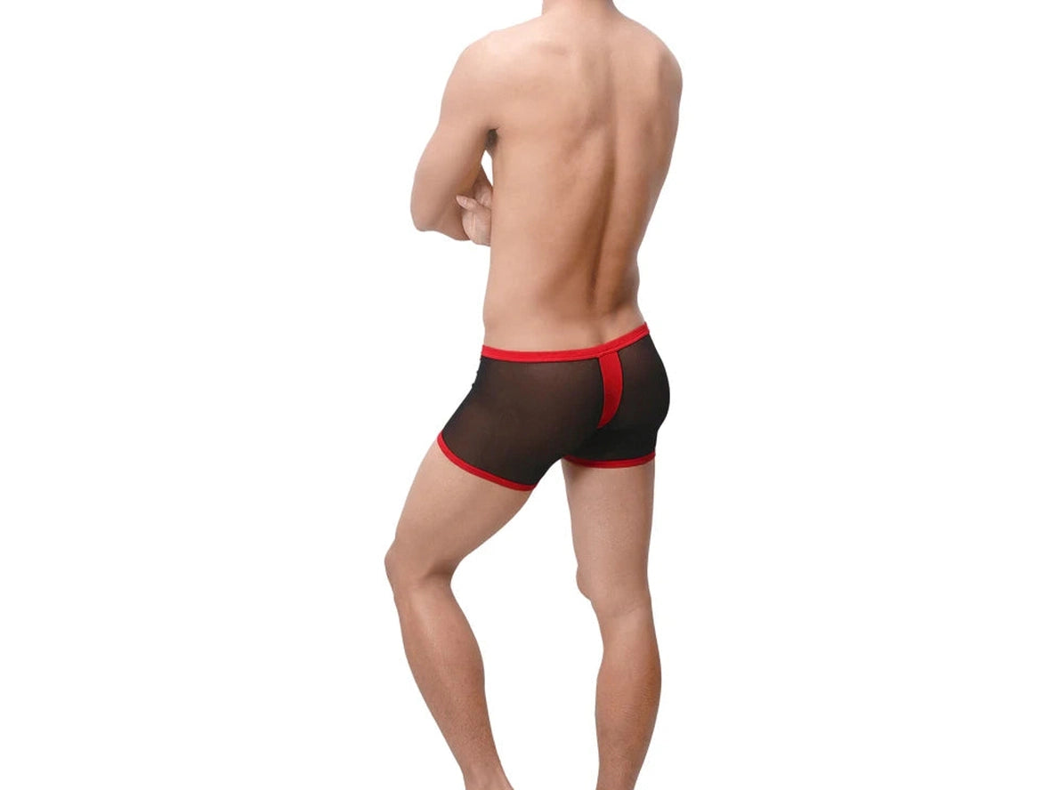 Gay Boxer Briefs | UzHot Mesh Transparent Boxer Briefs