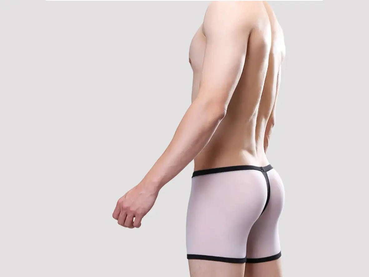 Gay Boxer Briefs | UzHot Mesh Transparent Boxer Briefs