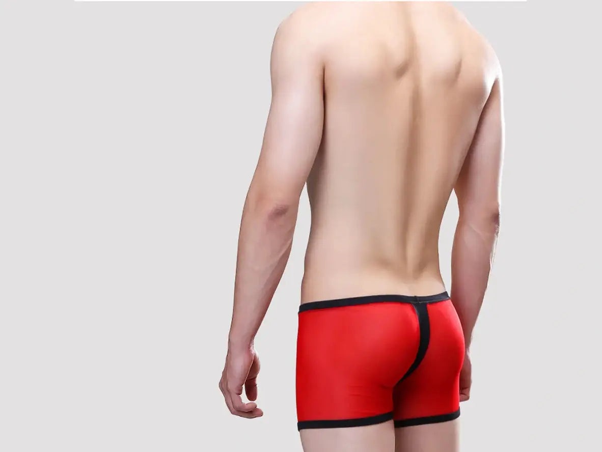 Gay Boxer Briefs | UzHot Mesh Transparent Boxer Briefs