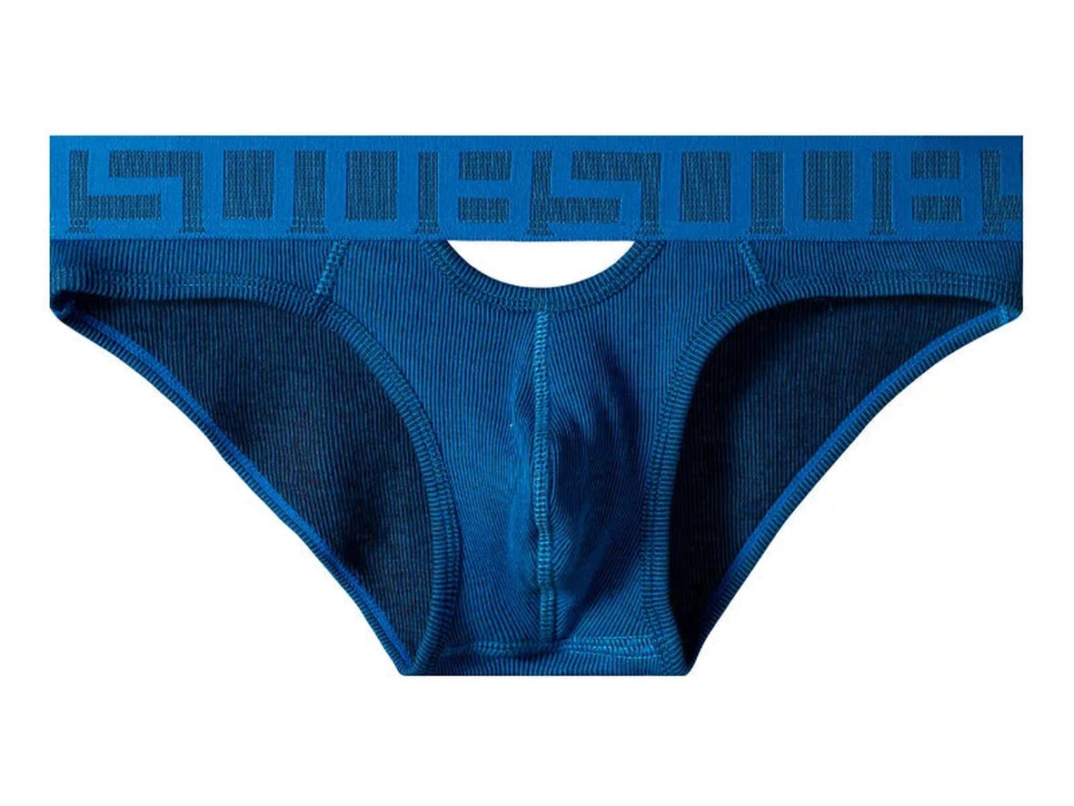 Gay Briefs | 0850 Sexy Hollow Briefs