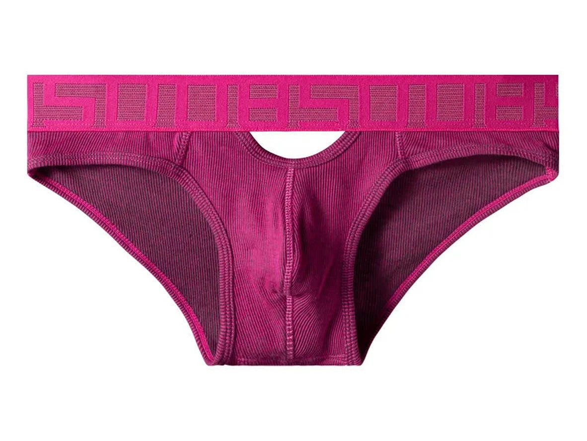 Gay Briefs | 0850 Sexy Hollow Briefs