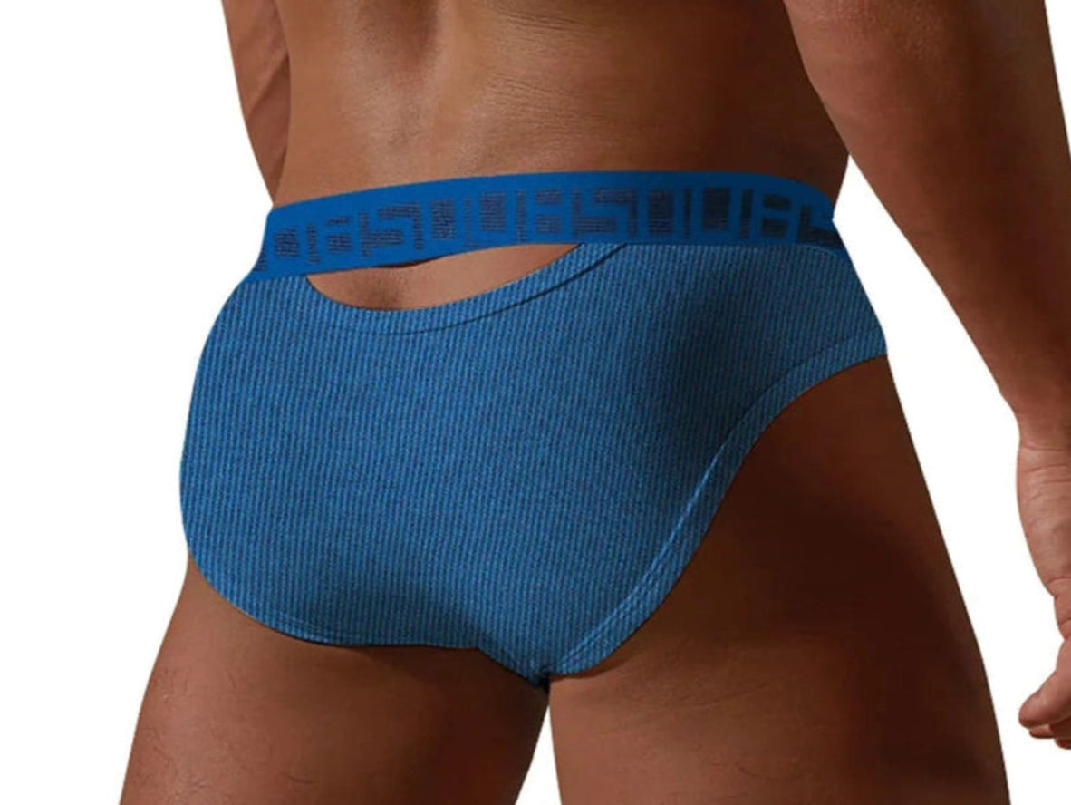 Gay Briefs | 0850 Sexy Hollow Briefs
