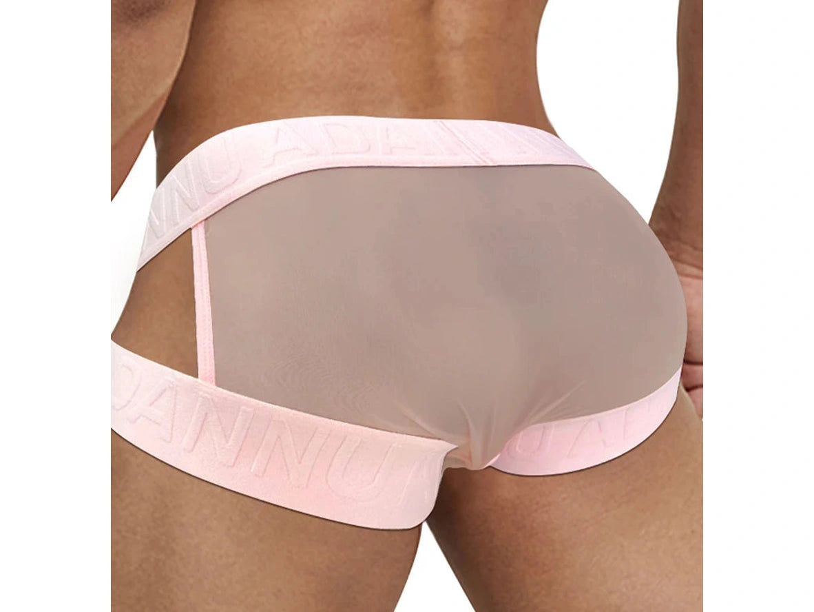 Gay Briefs | ADANNU Transparent Mesh Briefs