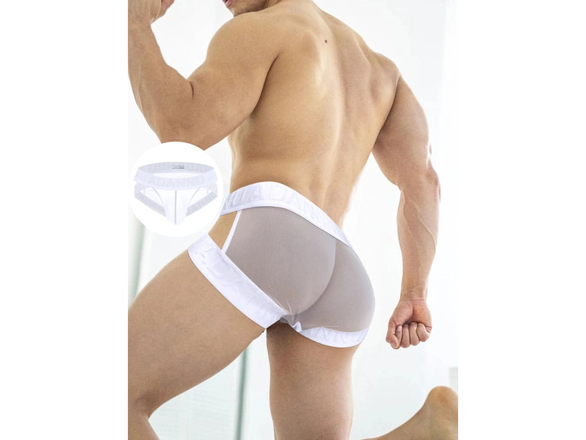 Gay Briefs | ADANNU Transparent Mesh Briefs