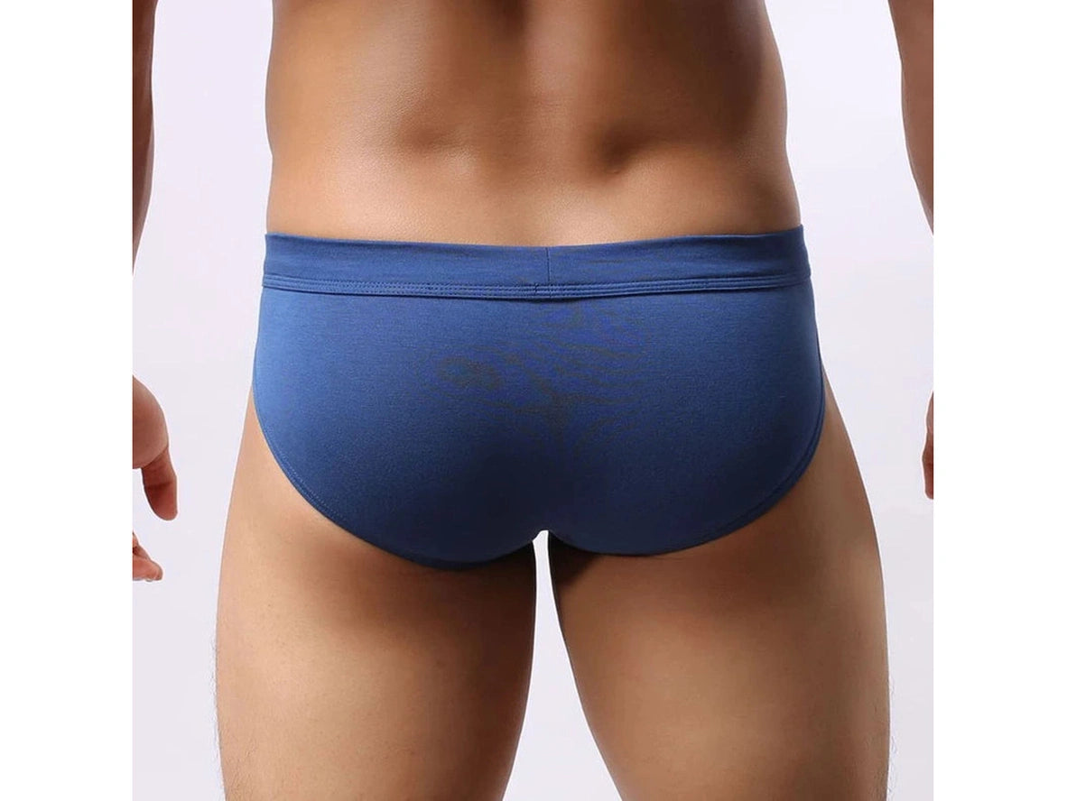 Gay Briefs | BRAVE PERSON Soft Briefs