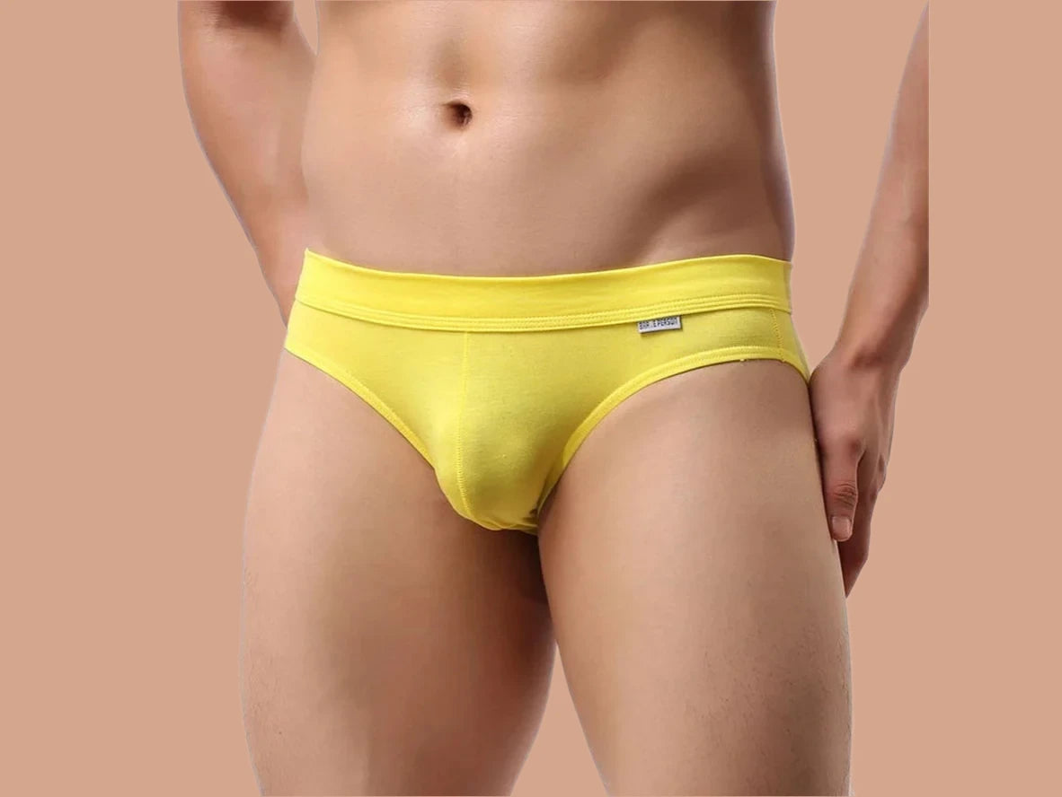 Gay Briefs | BRAVE PERSON Soft Briefs