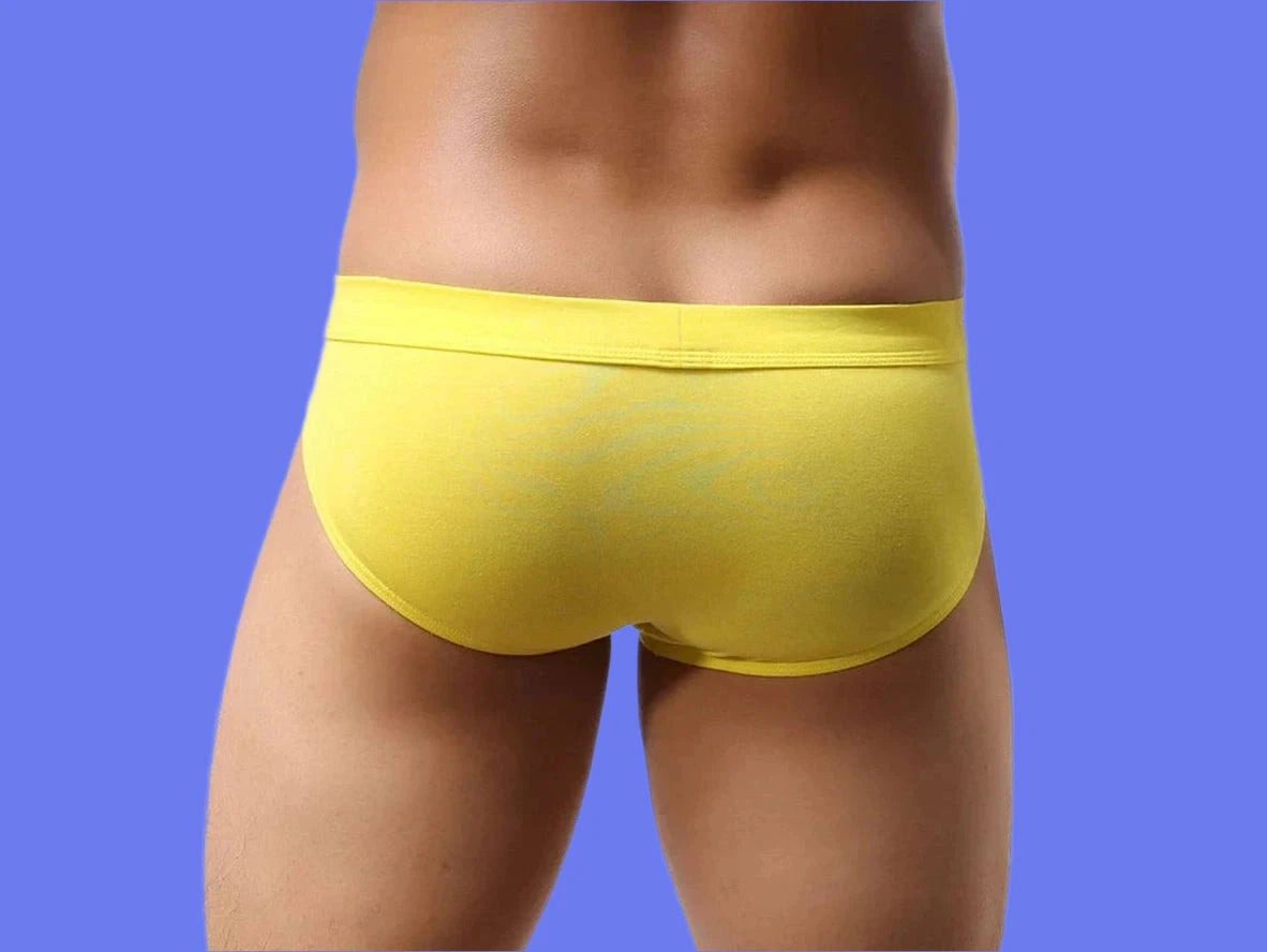 Gay Briefs | BRAVE PERSON Soft Briefs
