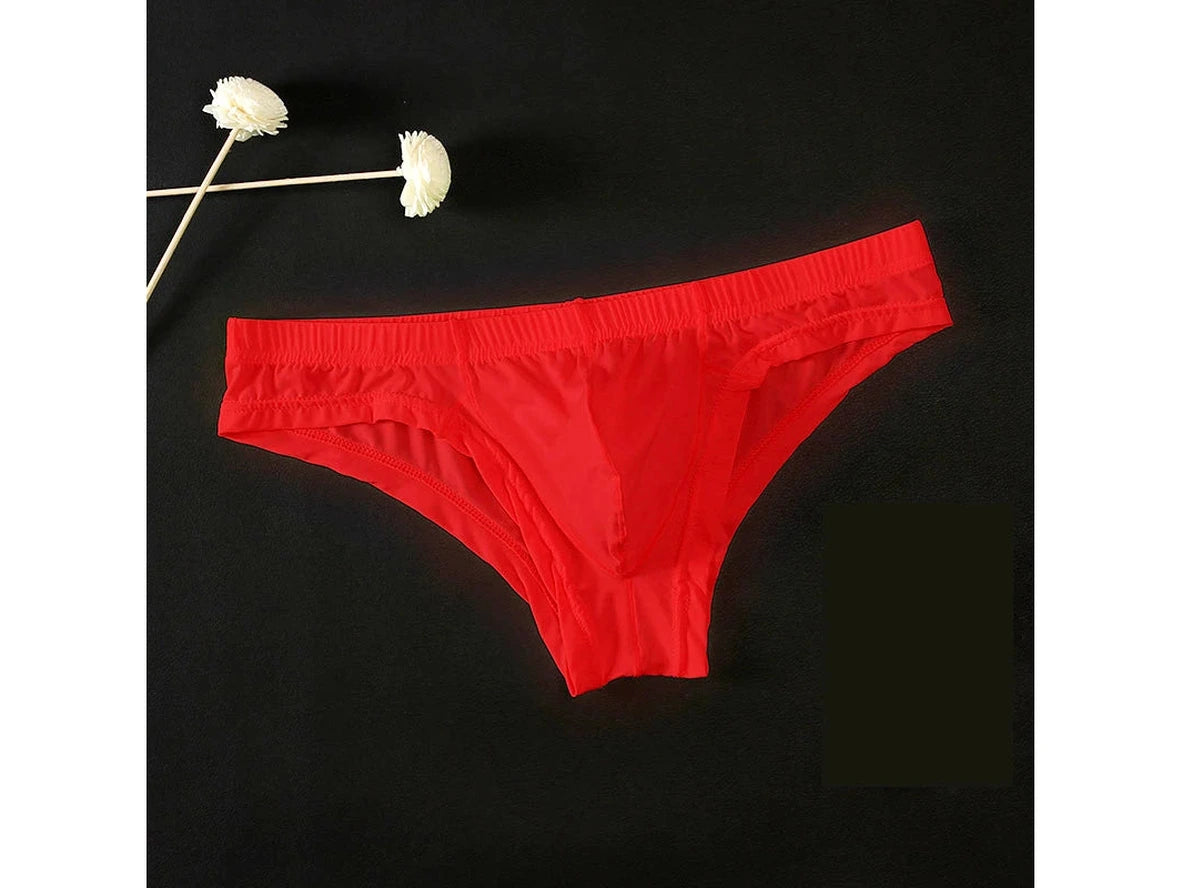 Gay Briefs | Cheeky Sexy Bulge Pouch Briefs