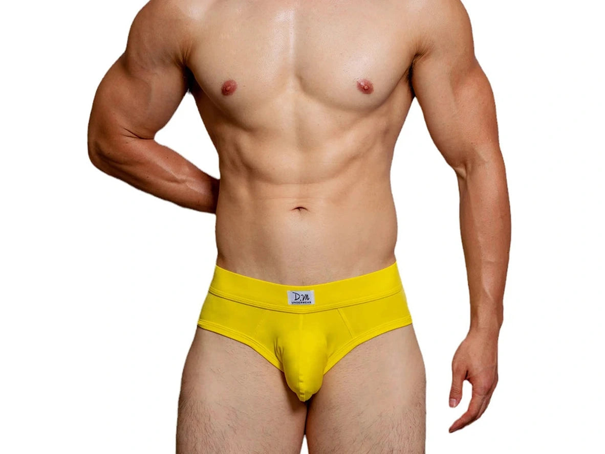 Gay Briefs | D.M Collection Comfortable Briefs