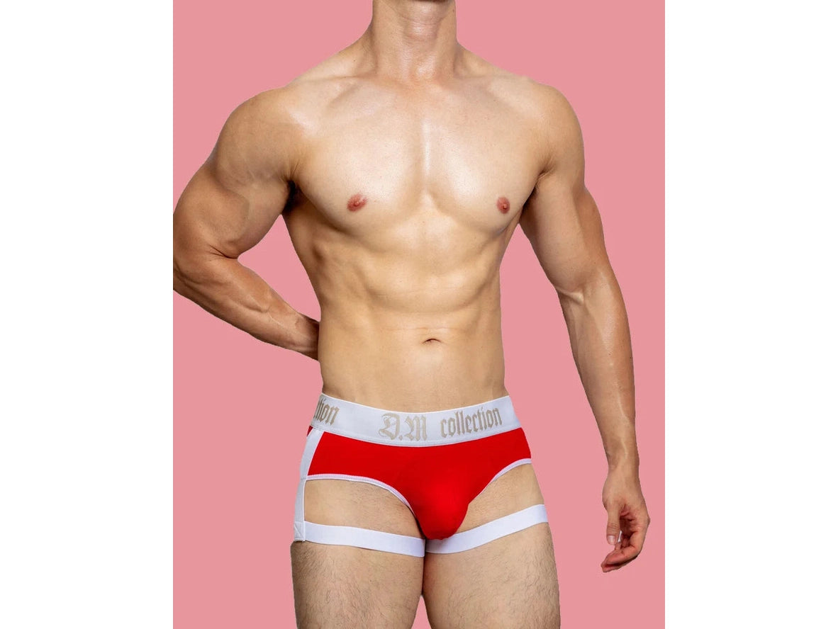 Gay Briefs | D.M Collection Garter Briefs