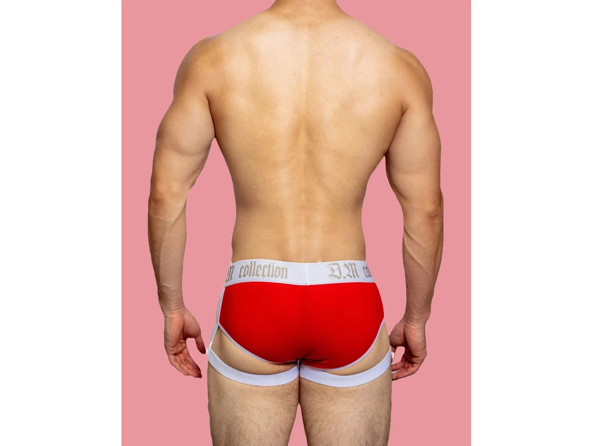 Gay Briefs | D.M Collection Garter Briefs