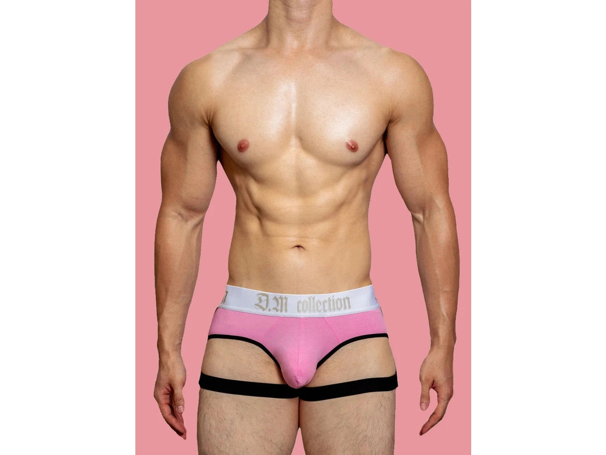 Gay Briefs | D.M Collection Garter Briefs