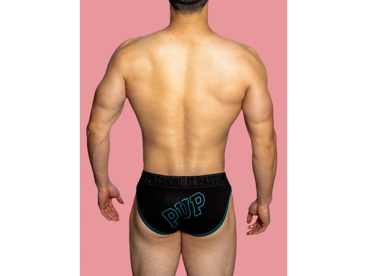 Gay Briefs | D. M "PUP" Briefs