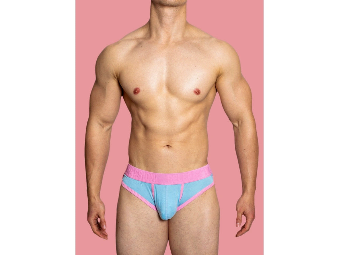 Gay Briefs | D. M "PUP" Briefs