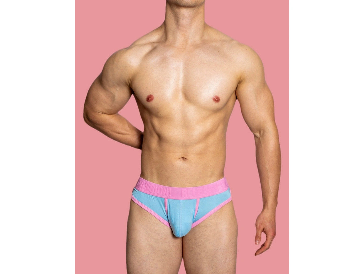 Gay Briefs | D. M "PUP" Briefs