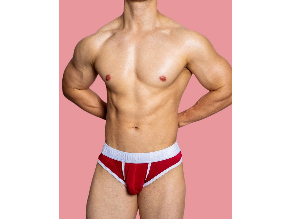 Gay Briefs | D. M "PUP" Briefs