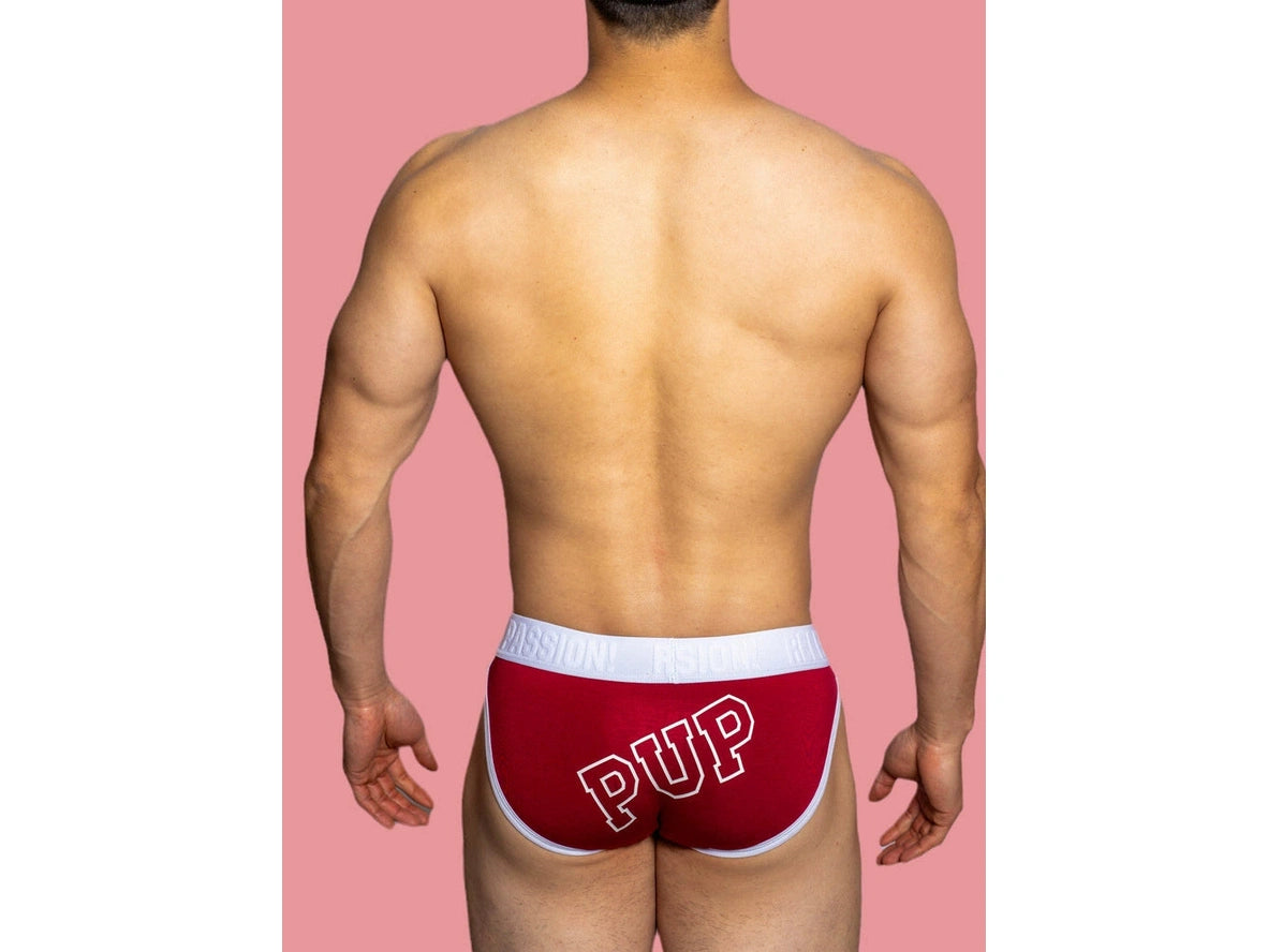 Gay Briefs | D. M "PUP" Briefs