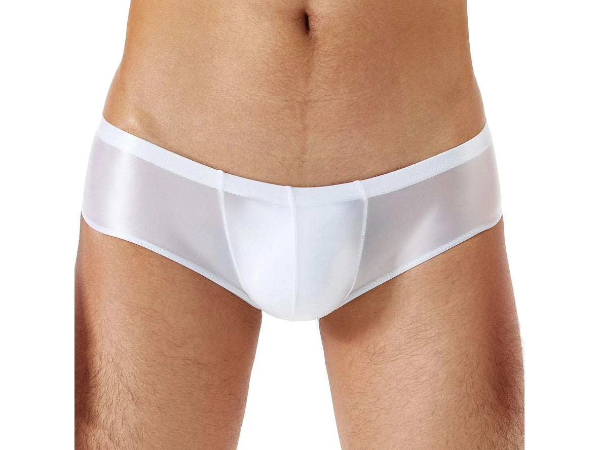 Gay Briefs | Glossy Hipster Briefs