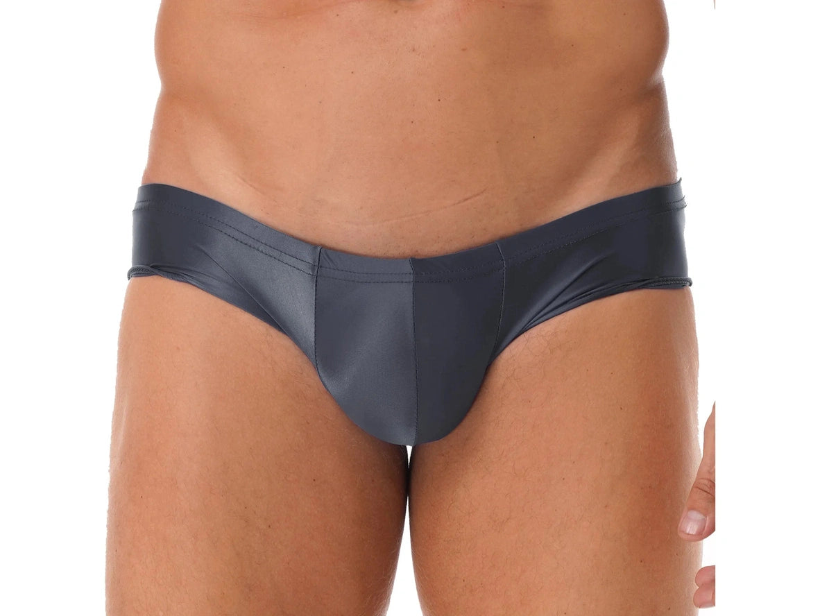 Gay Briefs | Glossy Hipster Briefs