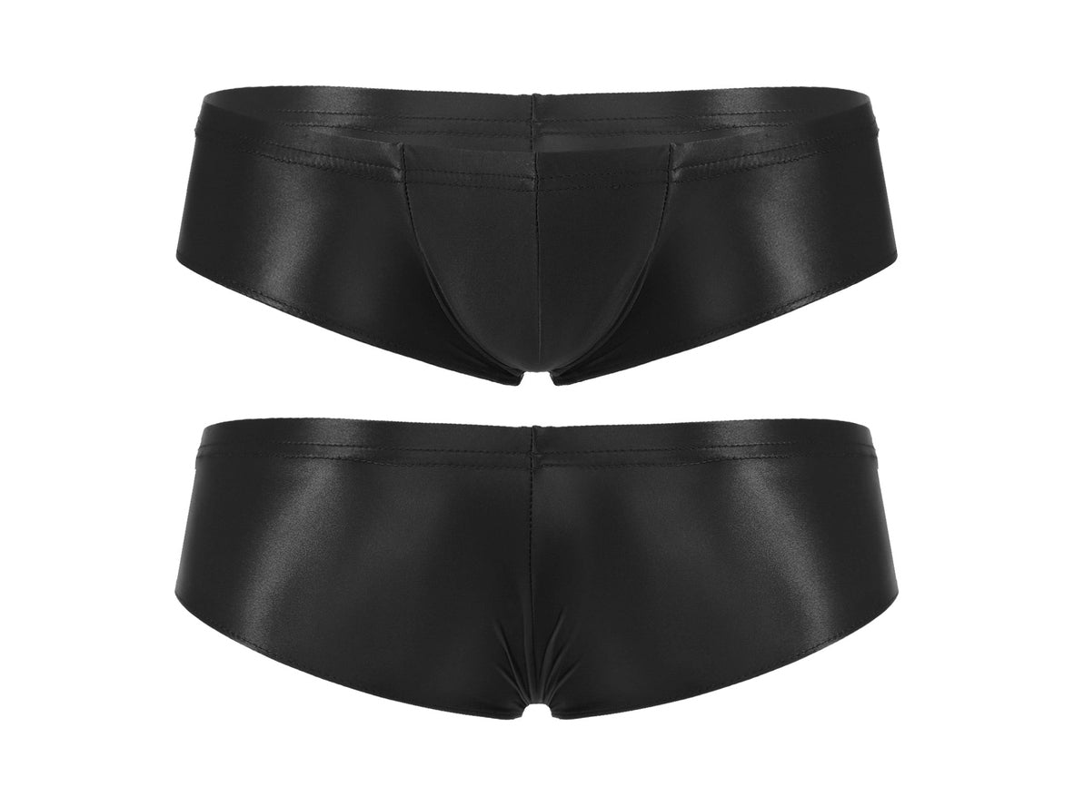 Gay Briefs | Glossy Hipster Briefs