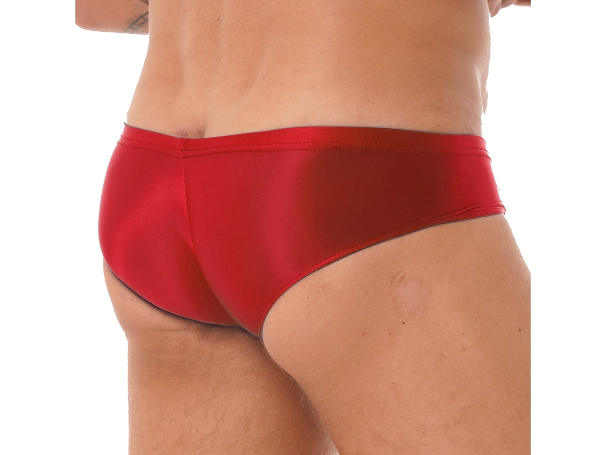 Gay Briefs | Glossy Hipster Briefs